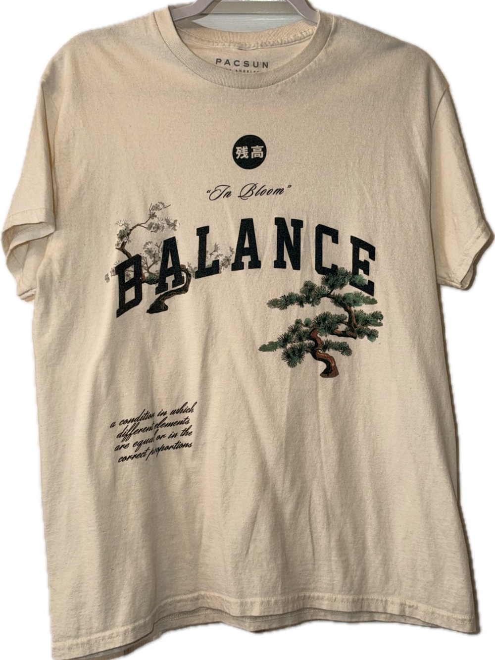 PacSun Cream 'Balance' Graphic Short Sleeve Tee